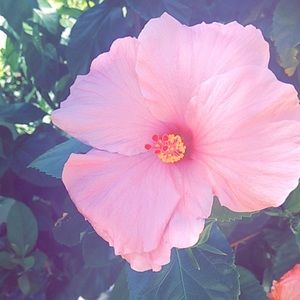 Meet your Posher, Ololivia